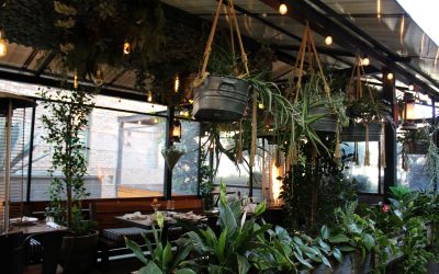 Why Farmers Bottega Has the Best Outdoor Dining San Diego Has Ever Seen