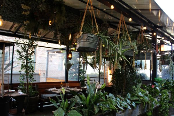 best outdoor dining san diego